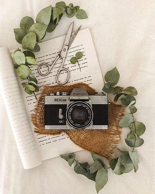 Camera